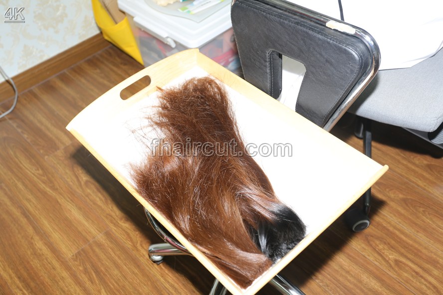 x089# longhair - Image 5